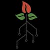 FireTree Digital Logo